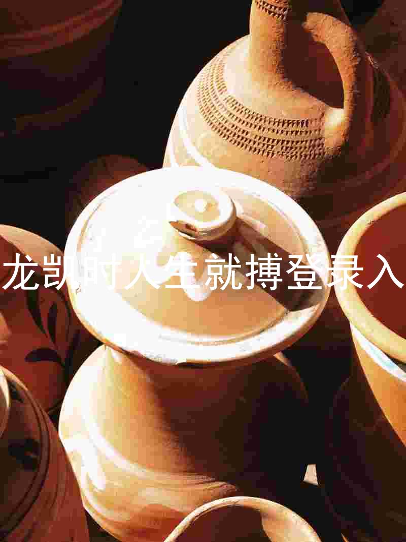 尊龙凯时人生就搏登录入口